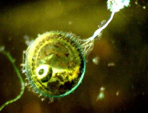 FEB 3 : Club Meeting